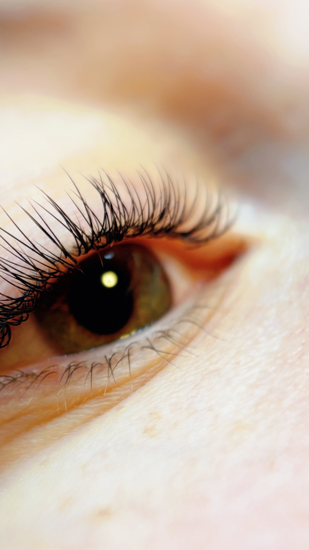 Nahaufnahme einer professionell gestylten Wimpernverlängerung bei Linas Lashliebe